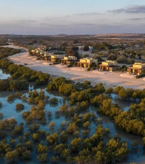 Sir Bani Yas Island