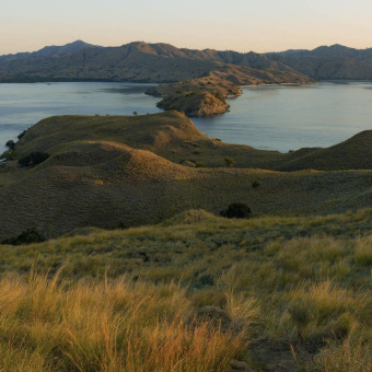 wp-content/uploads/2025/12/komodo-island-2.jpg