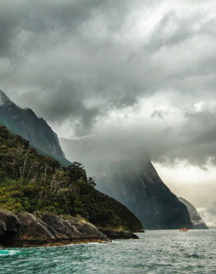 an aerial view of a beach and a forested area in Tasmania