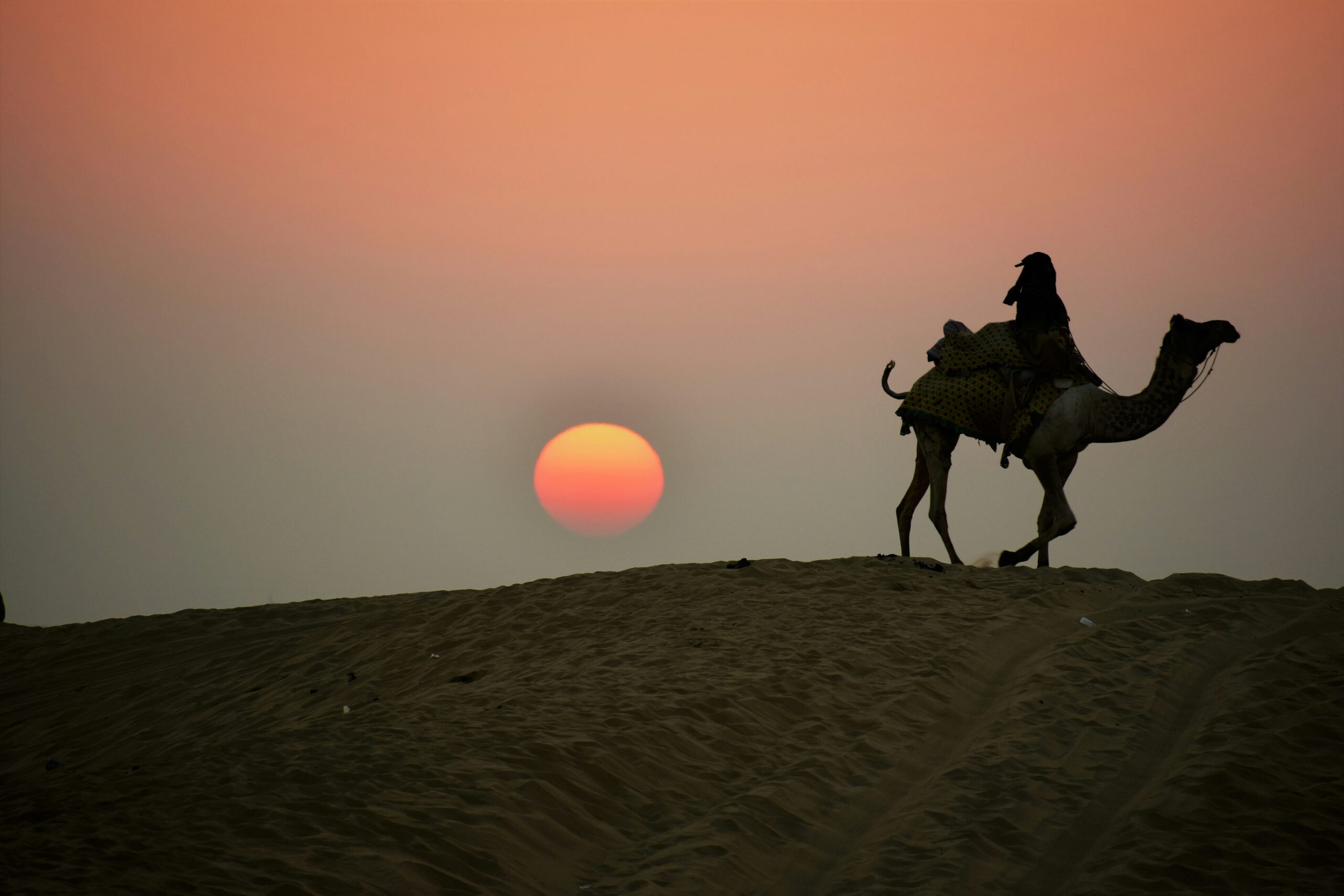 Sahara nightsl in the desert