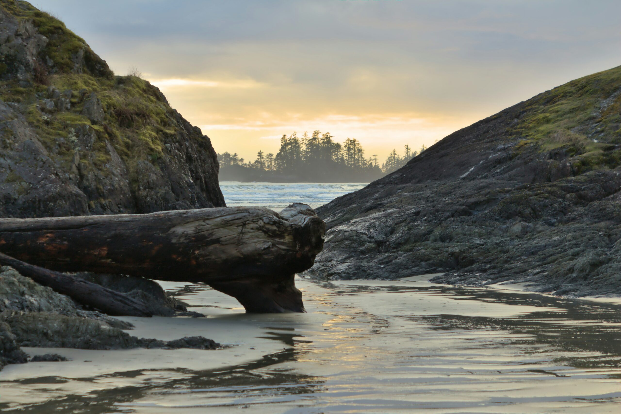 Drawn to the Edge.In the Hush of Fjords, Forests, and Faraway Seas