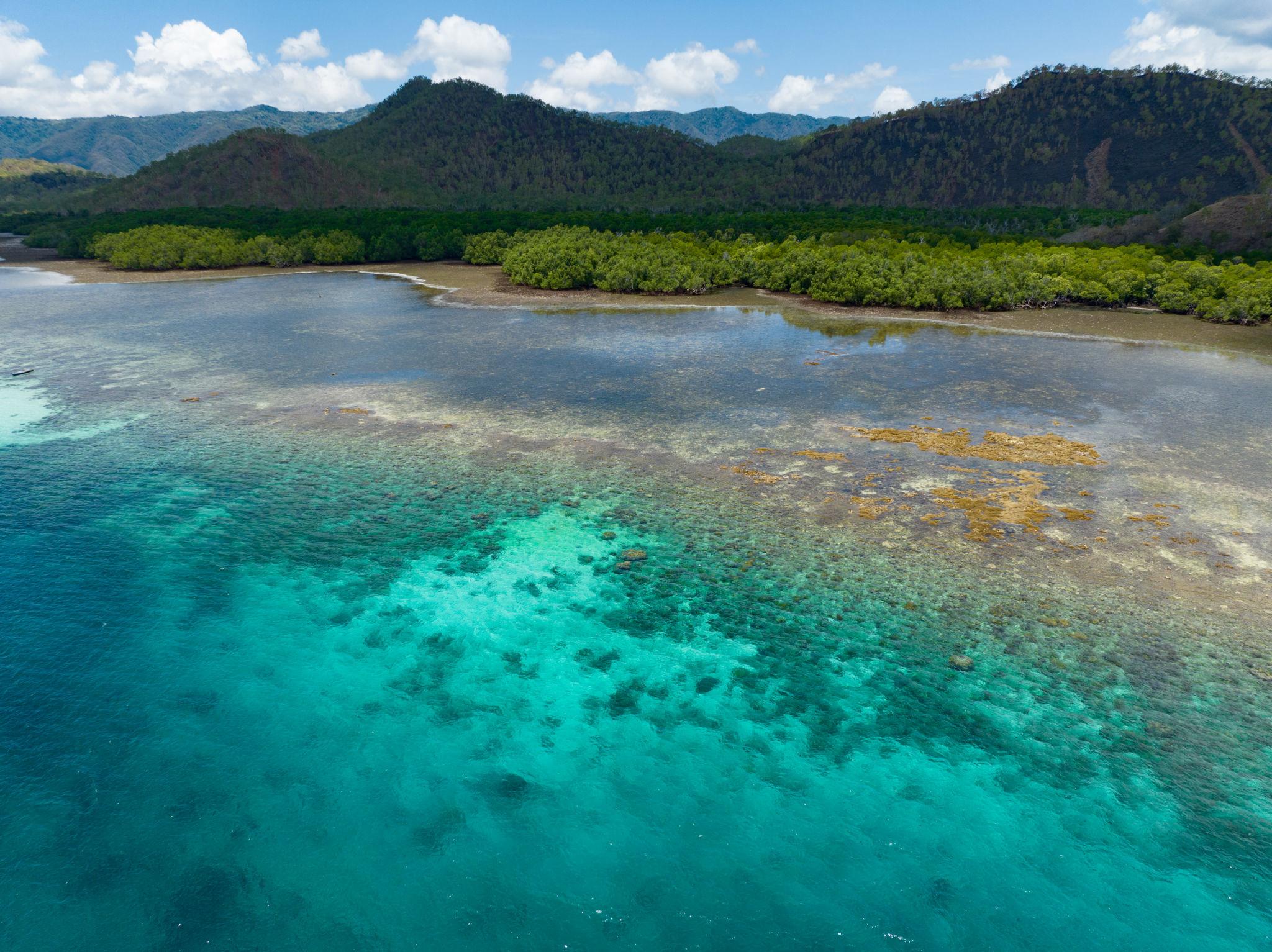 The Coral Triangle Indonesia