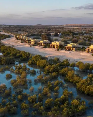 Wildlife on Yas Island