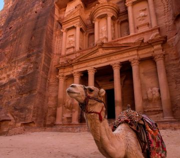 brown camel in front of brown rock formation during daytime