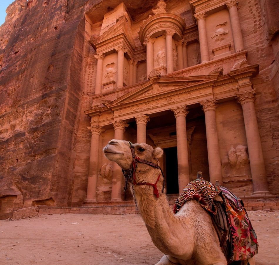 brown camel in front of brown rock formation during daytime