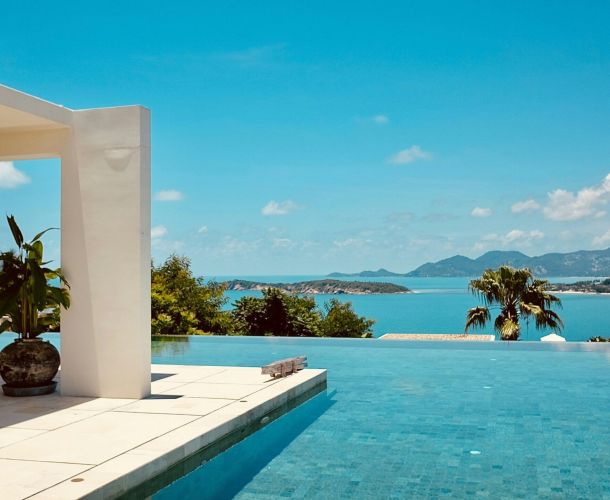 green leafed plant near white concrete post