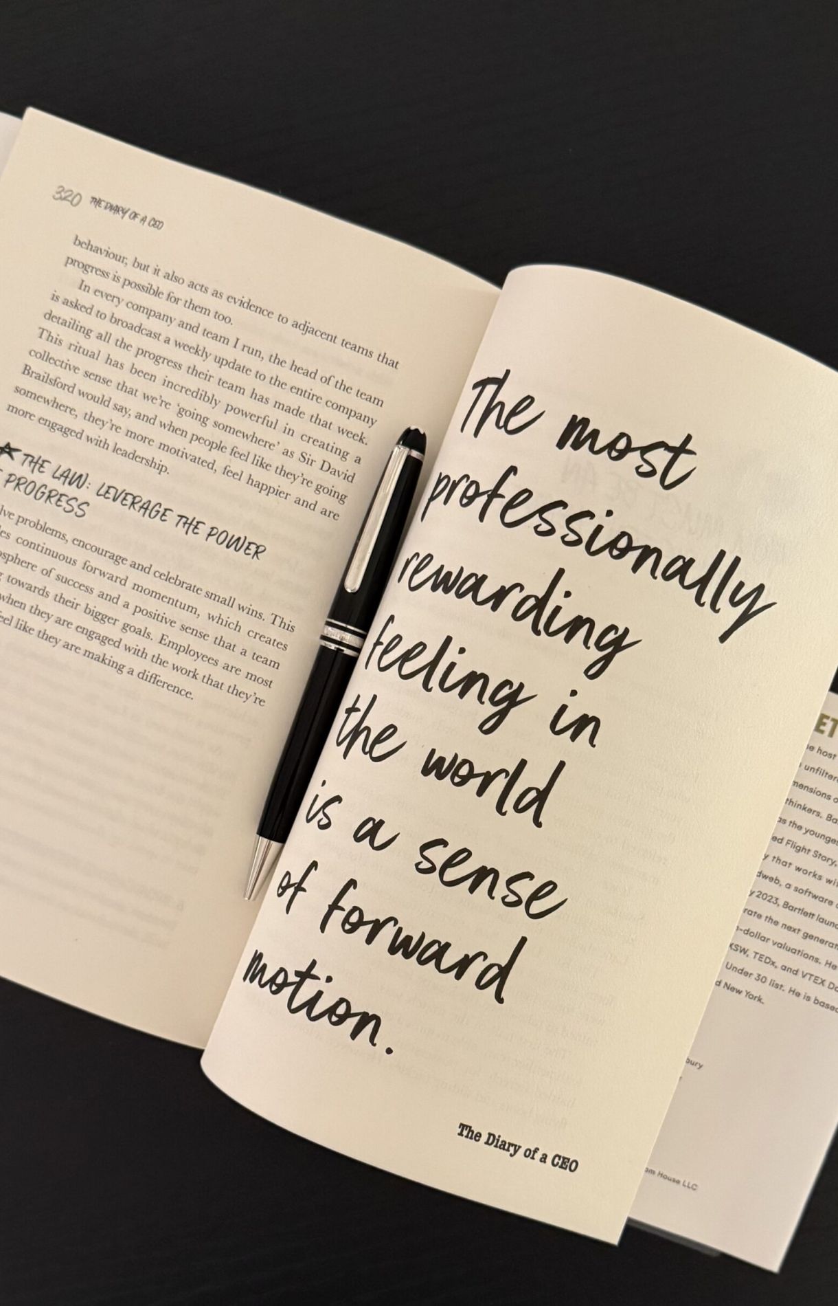 Reflections on Diary of a Ceo