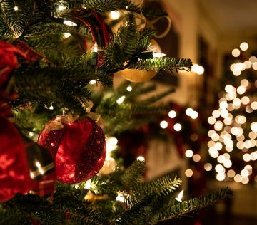 green Christmas tree