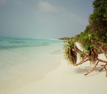 Leave it better than you found it