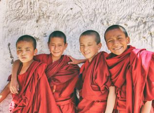 people in forest during daytime