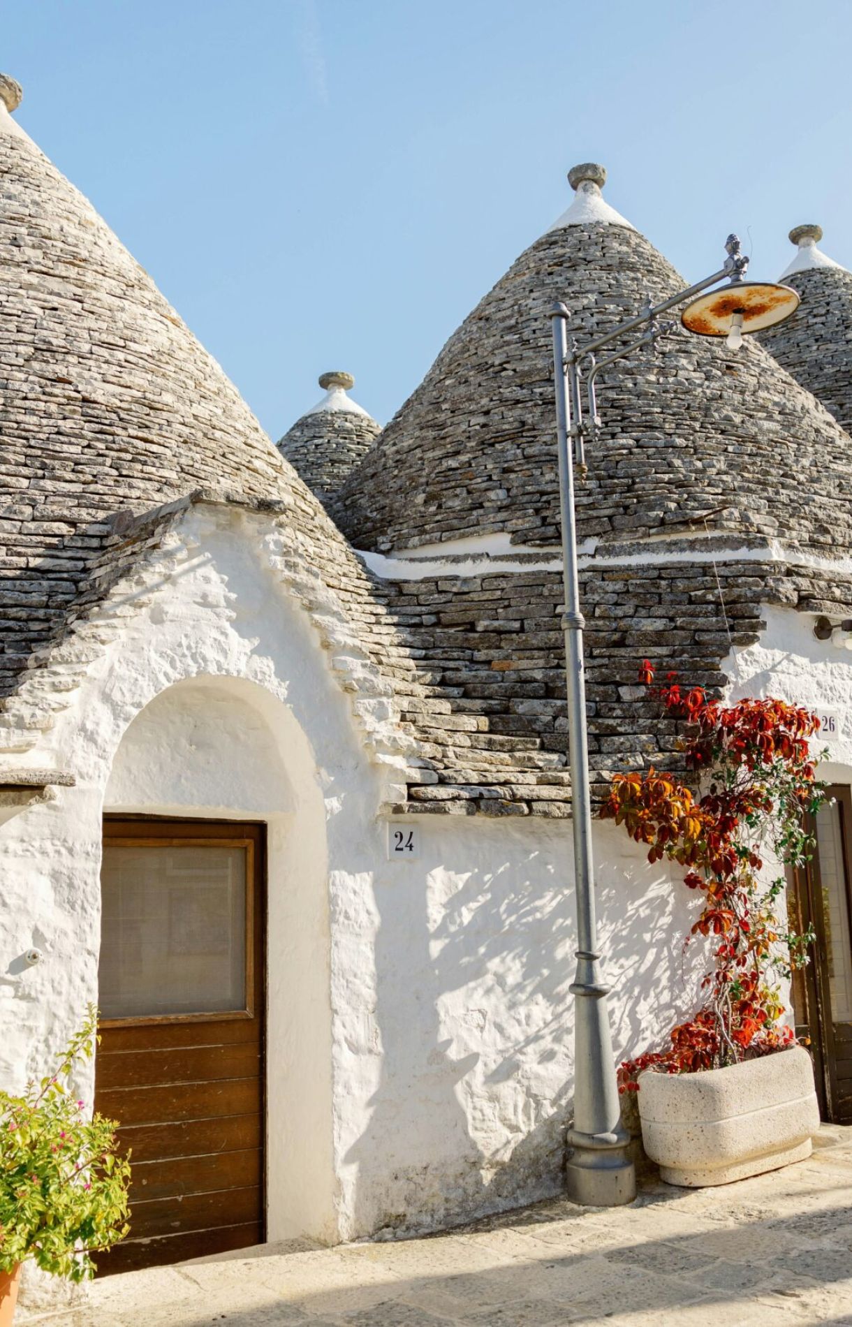 a white building with a bunch of potted plants in front of it
