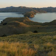 wp-content/uploads/2025/12/komodo-island-2.jpg