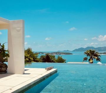 green leafed plant near white concrete post