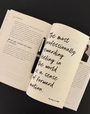 Reflections on Diary of a Ceo