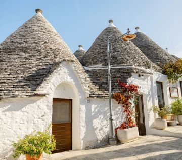 a white building with a bunch of potted plants in front of it
